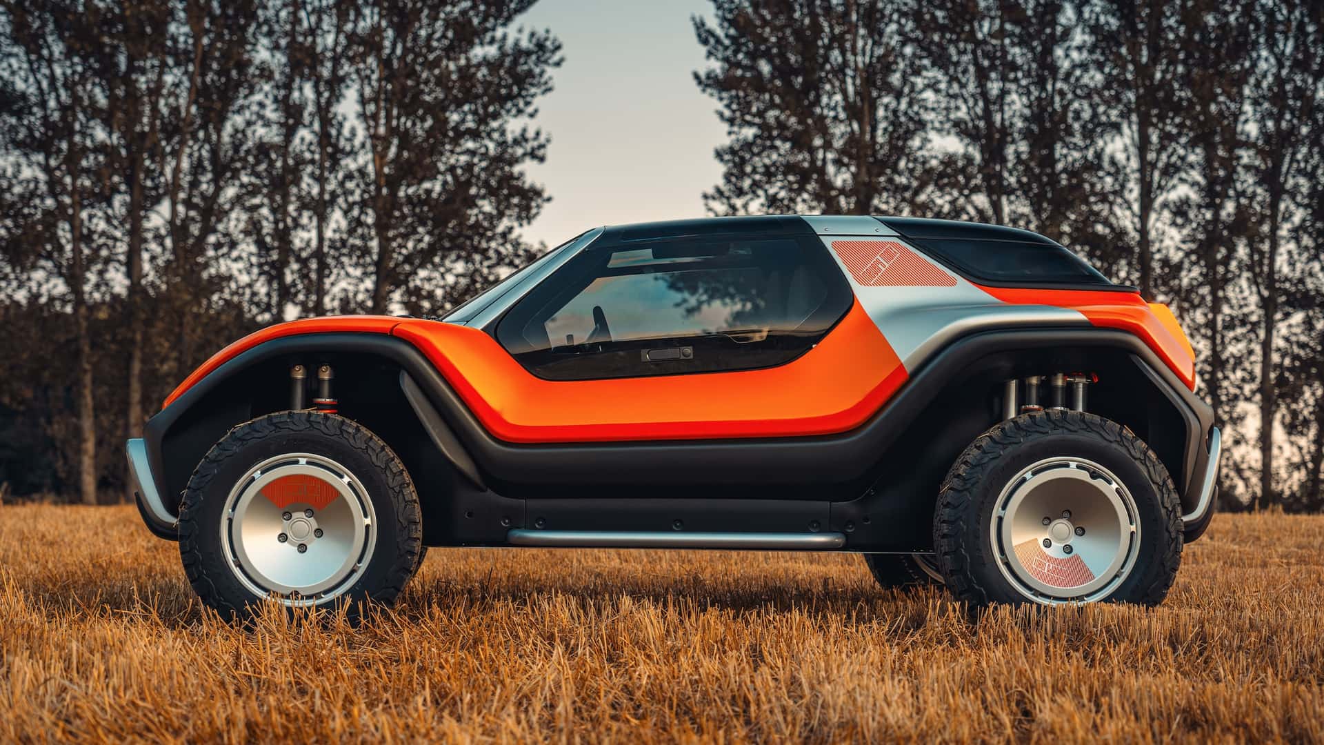 Meyers Manx LFG is the intersection between 911 and Dune Buggy